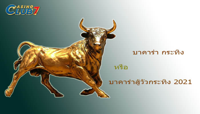 บาคาร่า กระทิง